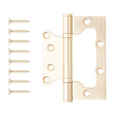 Петля накладная Apecs 100*75*2,5-B2-Steel-GMS